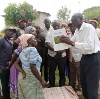 Training at farm level with the Bulhalho Foundation team.